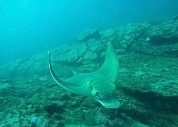 Private With Air Condition And Pool